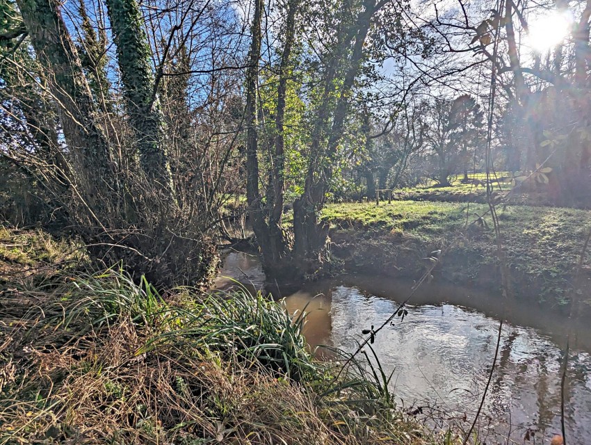 Images for Sway, Lymington, Hampshire